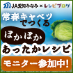 ミニバナー：常春キャベツでつくるぽかぽかあったかレシピモニター参加中！