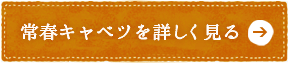 常春キャベツを詳しく見る