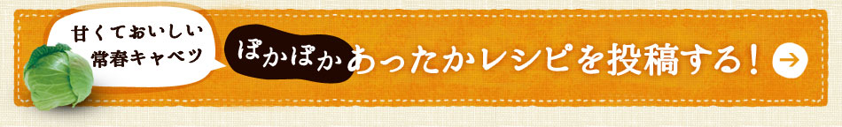 甘くておいしい常春キャベツぽかぽかあったかレシピを投稿する！