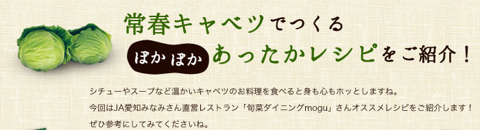 常春キャベツでつくるぽかぽかあったかレシピをご紹介！シチューやスープなど温かいキャベツのお料理を食べると身も心もホッとしますね。今回はJA愛知みなみさん直営レストラン「旬菜ダイニングmogu」さんオススメレシピをご紹介します！ぜひ参考にしてみてくださいね。