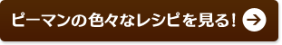 ピーマンの色々なレシピを見る！