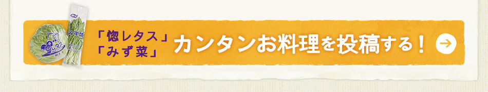 「惚レタス」「みず菜」カンタンお料理を投稿する！