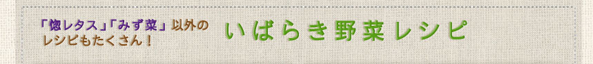 「惚レタス」「みず菜」以外のレシピもたくさん！いばらき野菜レシピ