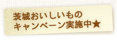 茨城おいしいものキャンペーン実施中★