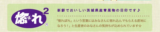 新鮮でおいしい茨城県産青果物の目印です♪「惚れぼれ」という言葉にはみなさんに惚れ込んでもらえる産地になろう！」と生産者のみなさんの気持ちが込められています☆