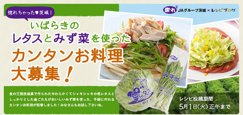 惚れちゃった茨城！いばらきのレタスとみず菜でカンタンお料理大募集！食の王国茨城県で作られたやわらかくてシャキシャキの惚レタスと
しっかりとした歯ごたえがおいしいみず菜を使った手軽に作れるカンタンお料理が到着しました！みなさんもお試し下さいね。レシピ投稿期間：5月1日（火）正午まで