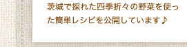 茨城で採れた四季折々の野菜を使った簡単レシピを公開しています♪