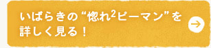 いばらきの“惚れ×2ピーマン”を詳しく見る！