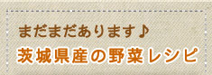 まだまだあります♪茨城県産の野菜レシピ