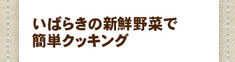 いばらきの新鮮やさいで簡単クッキング