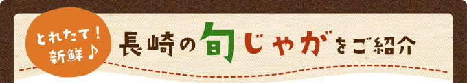 とれたて！新鮮♪長崎の旬じゃがをご紹介