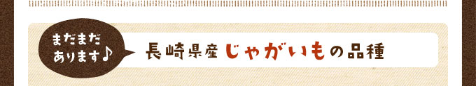 まだまだあります！長崎県産じゃがいもの品種