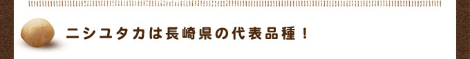 ニシユタカは長崎県の代表品種！