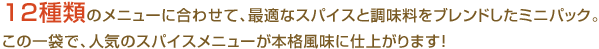 12種類のメニューに合わせて、最適なスパイスと調味料をブレンドしたミニパック。
この一袋で、人気のスパイスメニューが本格風味に仕上がります！
