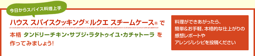 ハウス スパイスクッキング×ルクエ スチームケース