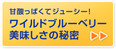 甘酸っぱくてジューシー！ワイルドブルーベリー美味しさの秘密