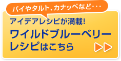 アイデアレシピが満載！ワイルドブルーベリーレシピはこちら