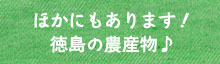 ほかにもあります！徳島の農産物♪