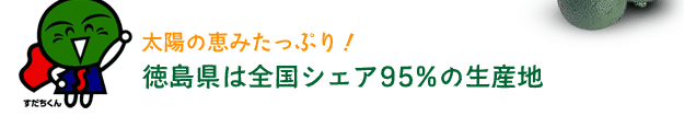 太陽の恵みたっぷり！徳島県は全国シェア95%の生産地