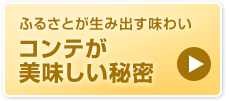 コンテが美味しい秘密