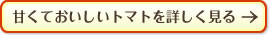 甘くておいしいトマトを詳しく見る