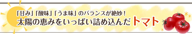 「甘み」「酸味」「うま味」のバランスが絶妙！太陽の恵みをいっぱい詰め込んだトマト