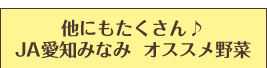 他にもたくさん♪JA愛知みなみ  オススメ野菜