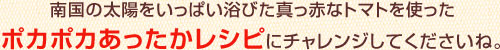 南国の太陽をいっぱい浴びた真っ赤なトマトを使った
    ポカポカあったかレシピにチャレンジしてくださいね。