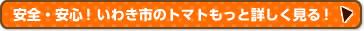 安全・安心！いわき市のトマトもっと詳しく見る！