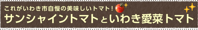 これがいわき市自慢の美味しいトマト！サンシャイントマトといわき愛菜トマト