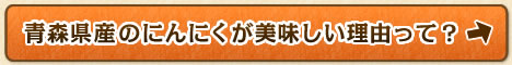 青森県産のにんにくが美味しい理由って？