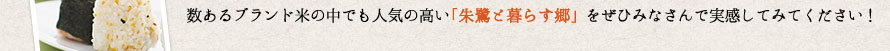 数あるブランド米の中でも人気の高い「朱鷺と暮らす郷」をぜひみなさんで実感してみてください！