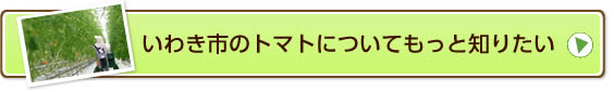 いわき市のトマトについてもっと知りたい