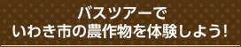 バスツアーでいわき市の農作物を体験しよう！