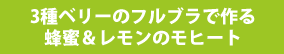 3種ベリーのフルブラで作る蜂蜜＆レモンのモヒート