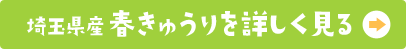 埼玉県産春きゅうりを詳しく見る