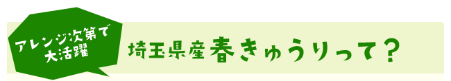 アレンジ次第で大活躍／埼玉県産春きゅうりって？