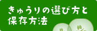 きゅうりの選び方と保存方法