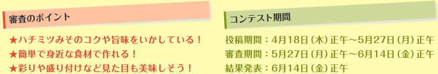 審査のポイント、コンテスト期間