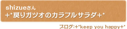 +*戻りガツオのカラフルサラダ+*
