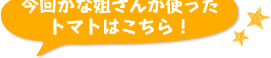 今回かな姐さんが使ったトマトはこちら！