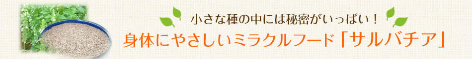 小さな種の中には秘密がいっぱい！身体にやさしいミラクルフード「サルバチア」