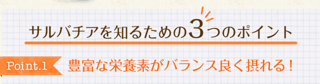 サルバチアを知るための3つのポイント