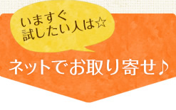 サルバチアを知るための3つのポイント