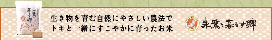 生き物を育む自然にやさしい農法でトキと一緒にすこやかに育ったお米