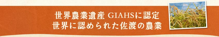 世界農業遺産 GIAHSに認定 世界に認められた佐渡の農業