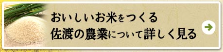 おいしいお米をつくる佐渡の農業について詳しく見る