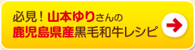 山本ゆりさんの鹿児島県産黒毛和牛レシピ