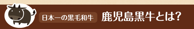 鹿児島黒牛とは？