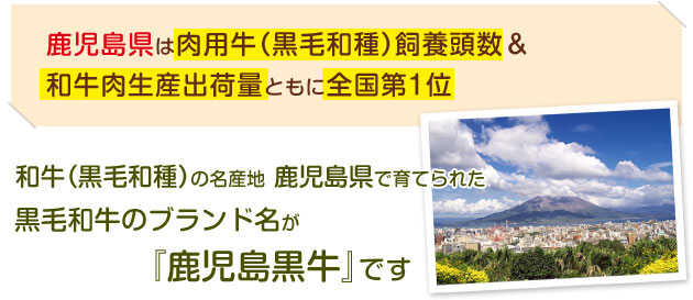 和牛（黒毛和種）の名産地 鹿児島県で育てられた黒毛和牛のブランド名が『鹿児島黒牛』です